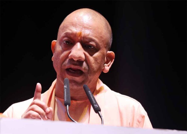 yogi-3.jpg