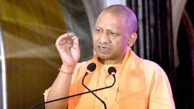 yogi1-5.jpg