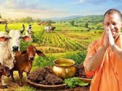 योगी सरकार का बड़ा प्लान: गोबर-गोमूत्र से बनेगा ऑर्गेनिक फर्टिलाइजर, गांवों में बढ़ेगा रोजगार