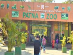 पटना चिड़ियाघर में बड़ा बदलाव: गैंडों की अदला-बदली से बढ़ेगी प्रजातियों की विविधता