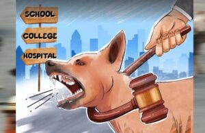 Stray Dogs मामले में SC का बड़ा फैसला, बच्चों और मरीजों की सुरक्षा को दी प्राथमिकता
