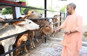 योगी सरकार का डेयरी मास्टर प्लान : 2 से 25 गाय तक लाखों का अनुदान, किसानों को सीधा फायदा
