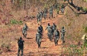 सर्च ऑपरेशन के दौरान फायरिंग, जंगल में घंटों चली मुठभेड़