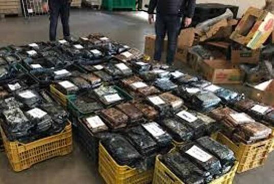 39 किलो गांजा बरामदगी मामले में पुलिसकर्मी की संलिप्तता उजागर, विभागीय जांच शुरू