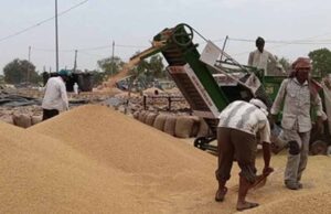 लखनऊ में खाद्य विभाग की समीक्षा बैठक, 25 लाख टन लक्ष्य पर जोर
