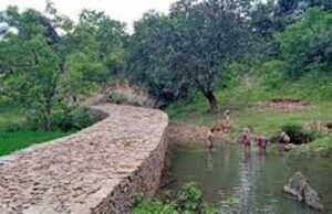 वन भूमि पर जल संरक्षण का बड़ा कदम, भूजल रिचार्ज के लिए बनाए जाएंगे चेकडैम