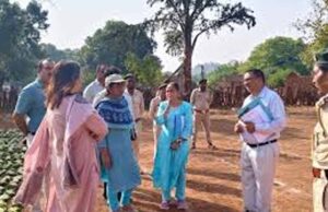 तेंदूपत्ता संग्रहण में तेजी लाने की कवायद: फड़ों पर पहुंचे वन अधिकारी, व्यवस्थाओं का लिया जायजा