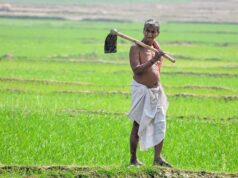 कम लागत, बेहतर उत्पादन और मिट्टी की सुरक्षा का नया विकल्प : नैनो उर्वरक