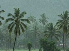 समय से पहले दस्तक की उम्मीद टूटी, आखिर क्यों लेट हुआ मॉनसून?