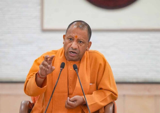 Yogi-8.jpg