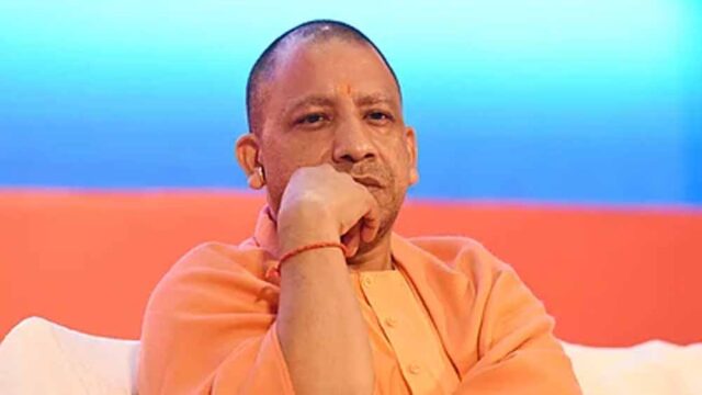cm_yogi_4-1.jpg