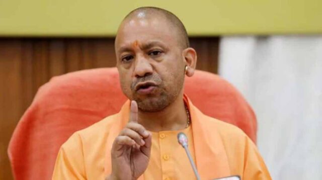 yogi_06-6.jpg