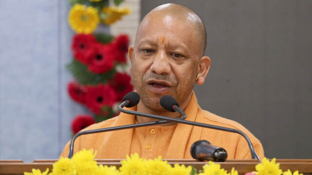 yogi_133_1-5.jpg