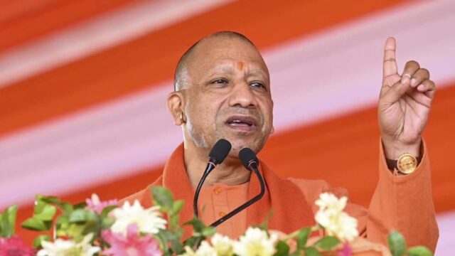 yogi_31_1.jpg