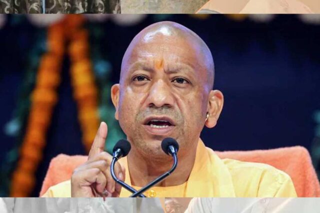 yogi_89_1-5.jpg