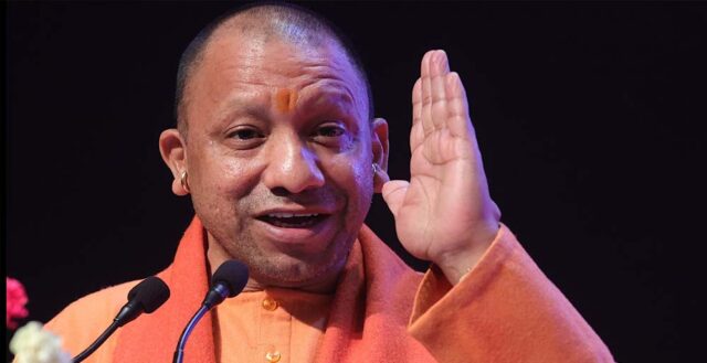 yogi_A_14_1-5.jpg