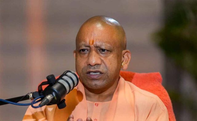 yogi_news1-3.jpg
