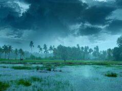 Monsoon Update: बिहार-झारखंड में जल्द होगी जोरदार बारिश, जानिए यूपी और दिल्ली में कब देगा दस्तक