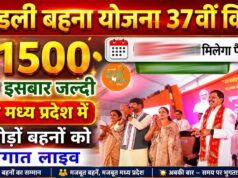 लाडली बहनों के लिए खुशखबरी! 37वीं किस्त जारी होने की तारीख पर आया नया अपडेट