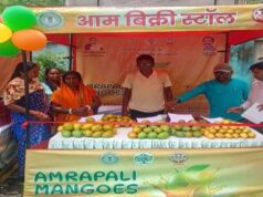 आम महोत्सव बना सफलता की मिसाल, किसानों और महिला एफपीओ को मिला बेहतर बाजार