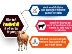 सेना के जवानों की प्रतिरोधक क्षमता बढ़ाएगा यूपी की देसी गायों के दूध से बना स्कॉयर फ्रीज ड्राइड योगर्ट पाउडर