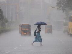 मध्य प्रदेश में बदला मौसम का मिजाज, 28 जिलों में बारिश और तेज हवाएं; मानसून की एंट्री पर बड़ा अपडेट