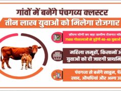 सीएम योगी का बड़ा ग्रामीण रोजगार मॉडल : 7500 गोशालाओं से जुड़ेंगी 40-40 युवाओं की टीमें