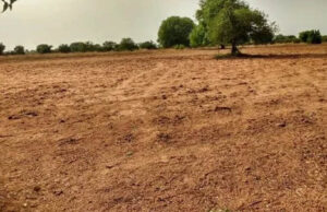 महानगरों में जमीन का संकट गहराया, भविष्य में आवास को लेकर बढ़ी चिंता