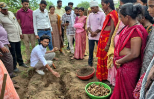 धमतरी का नगरी बनेगा हल्दी उत्पादन का नया हब, 250 किसानों ने अपनाई वैज्ञानिक खेती