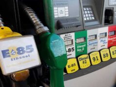 Flex Fuel वाहनों को मिलेगा बढ़ावा, E85 पेट्रोल लॉन्च को लेकर सरकार की बड़ी तैयारी
