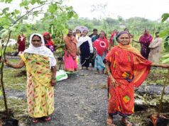 जनभागीदारी के दम पर हरियाली की ओर बढ़ता छत्तीसगढ़, पर्यावरण संरक्षण को मिली नई दिशा