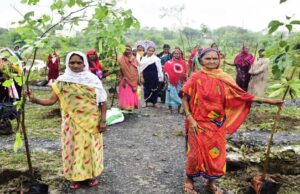 जनभागीदारी के दम पर हरियाली की ओर बढ़ता छत्तीसगढ़, पर्यावरण संरक्षण को मिली नई दिशा