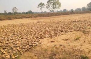 जंगलों की नीलामी नहीं, फिर भी धड़ल्ले से चल रहा केंदुपत्ता व्यापार, ग्रामीणों ने उठाए सवाल