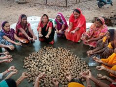 सीड बॉल से हरियाली की नई मुहिम, प्रकृति संरक्षण के जरिए ‘हरित जशपुर’ के निर्माण पर जोर