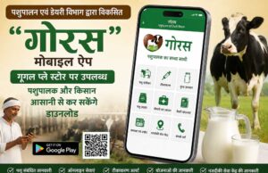 पशुपालन एवं डेयरी विभाग द्वारा विकसित “गोरस” मोबाइल ऐप गूगल प्ले स्टोर पर उपलब्ध, पशुपालक और किसान आसानी से कर सकेंगे डाउनलोड