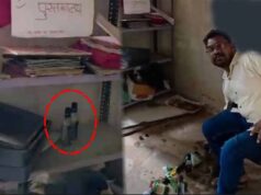 सरकारी स्कूल में जाम छलकाते मिला शिक्षक, कवर्धा में वीडियो वायरल; DEO बोले- होगी जांच