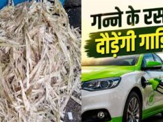 मध्य प्रदेश में गन्ना बनेगा तरक्की का इंजन, एथेनॉल से चलेंगी गाड़ियां; किसानों की आय बढ़ने की उम्मीद