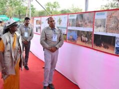चीता परियोजना का जायजा लेने पहुंचीं राष्ट्रपति, चीता प्रदर्शिनी का भी किया अवलोकन