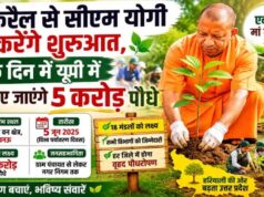 विश्व पर्यावरण दिवस (5 जून) पर कुकरैल में होगा वृहद पौधरोपण, मुख्यमंत्री योगी आदित्यनाथ करेंगे शुभारंभ