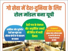 गो संरक्षण विशेष: अमेरिका और यूरोपीय देशों तक पहुंच रहा सीएम योगी के गो संरक्षण का प्रभाव