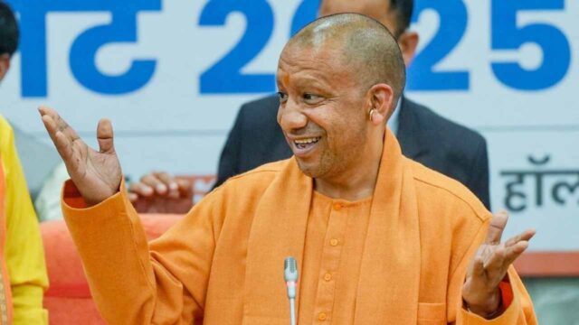 yogi_5-8.jpg