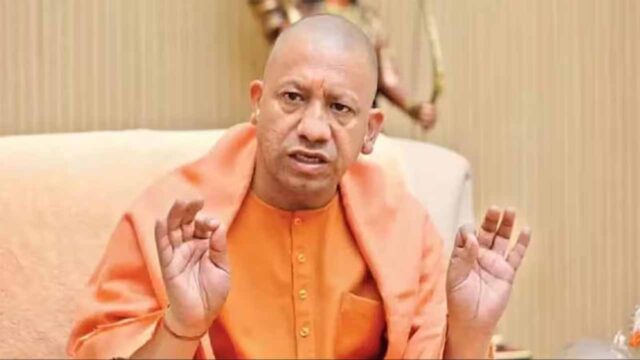 yogi_new-2.jpg