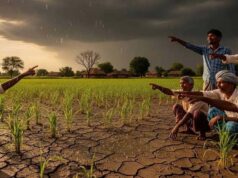 झारखंड में सामान्य से 50% कम बारिश, खेती और जलाशयों पर गहराया संकट