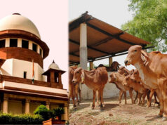 Supreme Court: तमिलनाडु सरकार की याचिका पर बड़ा आदेश, गाय-बछड़े से जुड़े मामले में हाईकोर्ट का फैसला पलटा