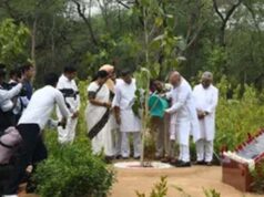 दिल्ली में 70 लाख पौधे लगाए जाएंगे, रिज क्षेत्र में लगेंगे पीपल, नीम और बरगद
