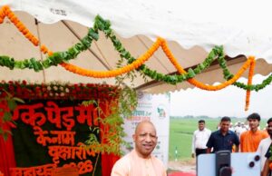 योगी सरकार के पौधरोपण अभियान में स्कूल-कॉलेज बने हरियाली के केंद्र