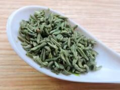 सौंफ खरीदते समय रहें सावधान, नकली हरी सौंफ से बचने के तरीके