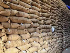 मध्य प्रदेश बना अनाज भंडारण का पावरहाउस, 35 लाख मीट्रिक टन क्षमता के दम पर पंजाब-हरियाणा से आगे