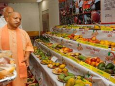 800 से अधिक किस्मों की प्रदर्शनी, यूपी के आम बने वैश्विक पहचान: योगी आदित्यनाथ
