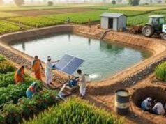 भूजल संरक्षण पर यूपी का बड़ा अभियान, 16 जुलाई से शुरू होगा सप्ताह